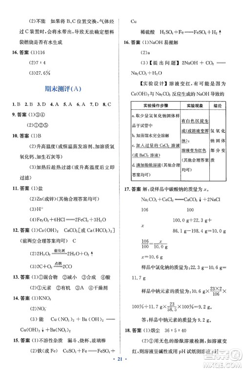 人民教育出版社2024年春人教金学典同步解析与测评学考练九年级化学下册人教版广东专版答案