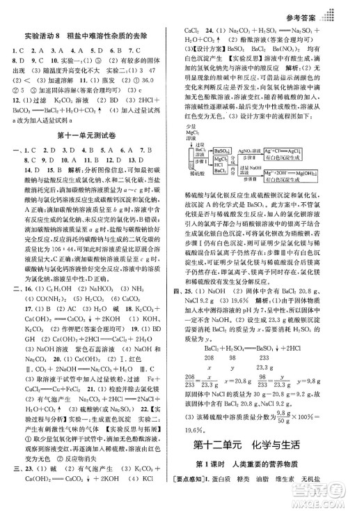 江苏凤凰美术出版社2024年春创新课时作业本九年级化学下册全国版答案