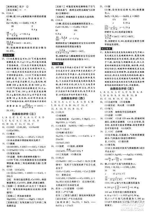 阳光出版社2024年春全品作业本九年级化学下册人教版答案