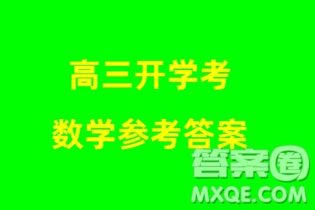 山西卓越联盟2024届高三下学期2月份开学质量检测数学试题参考答案