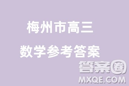 梅州市2024届高三下学期2月份总复习质检试题数学参考答案