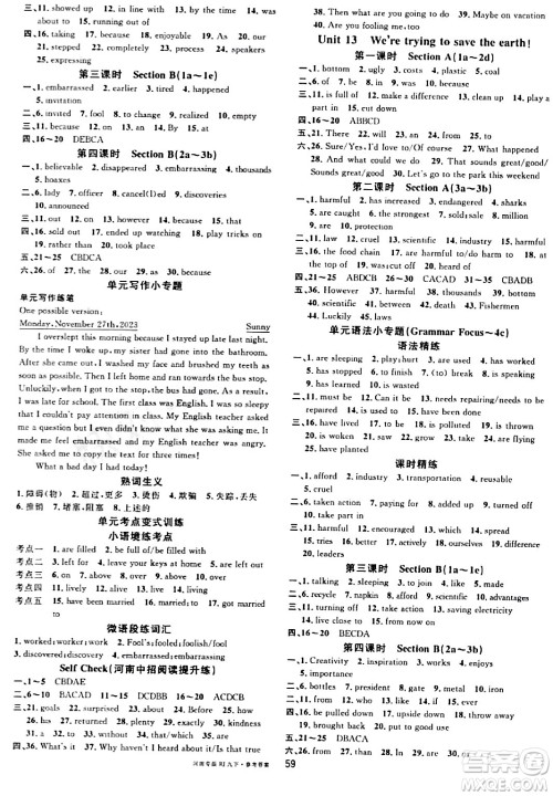 开明出版社2024年春名校课堂九年级英语下册人教版河南专版答案