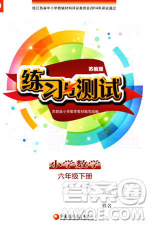 江苏凤凰教育出版社2024年春小学数学练习与测试六年级数学下册苏教版答案