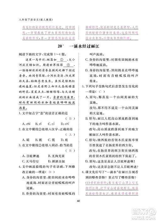 江西教育出版社2024年春语文作业本八年级语文下册人教版答案 江西教育出版社2024年春语文作业本八年级语文下册人教版答案