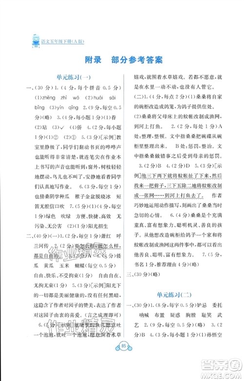 广西教育出版社2024年春自主学习能力测评单元测试五年级语文下册A版人教版参考答案 广西教育出版社2024年春自主学习能力测评单元测试五年级语文下册A版人教版参考答案