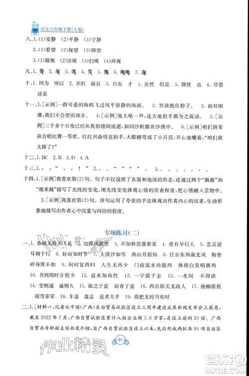 广西教育出版社2024年春自主学习能力测评单元测试六年级语文下册A版人教版参考答案