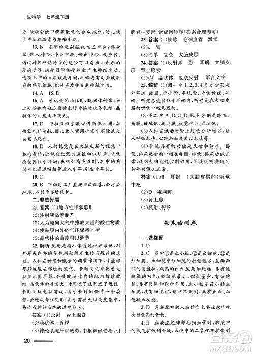 甘肃教育出版社2024年春配套综合练习七年级生物下册人教版参考答案