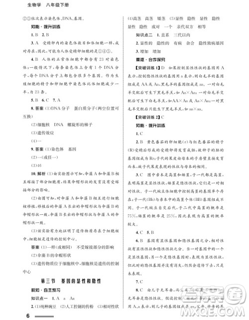 甘肃教育出版社2024年春配套综合练习八年级生物下册人教版参考答案