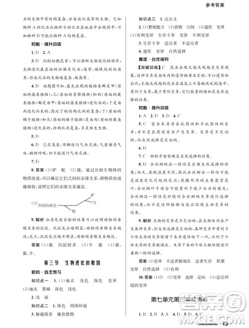 甘肃教育出版社2024年春配套综合练习八年级生物下册人教版参考答案