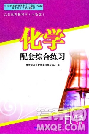 甘肃文化出版社2024年春配套综合练习九年级化学下册人教版参考答案