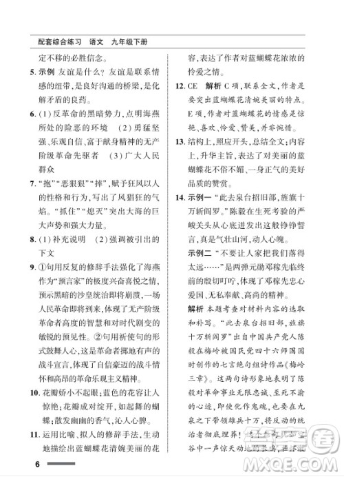 北京师范大学出版社2024年春配套综合练习九年级语文下册人教版参考答案 北京师范大学出版社2024年春配套综合练习九年级语文下册人教版参考答案