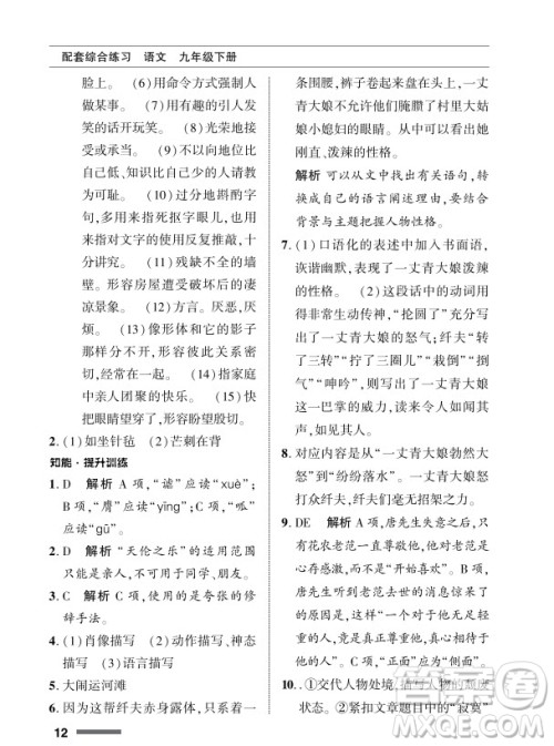 北京师范大学出版社2024年春配套综合练习九年级语文下册人教版参考答案 北京师范大学出版社2024年春配套综合练习九年级语文下册人教版参考答案