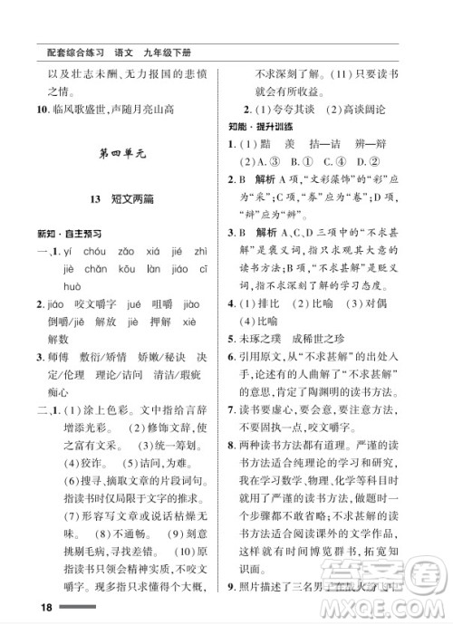 北京师范大学出版社2024年春配套综合练习九年级语文下册人教版参考答案 北京师范大学出版社2024年春配套综合练习九年级语文下册人教版参考答案