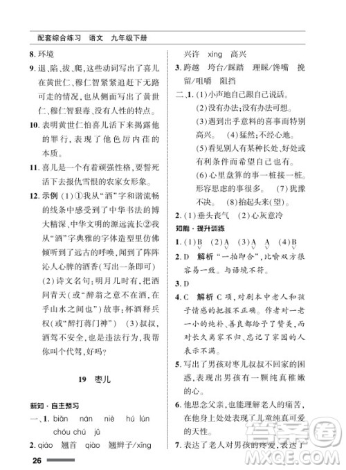 北京师范大学出版社2024年春配套综合练习九年级语文下册人教版参考答案 北京师范大学出版社2024年春配套综合练习九年级语文下册人教版参考答案