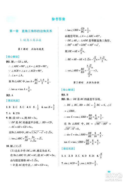 陕西师范大学出版总社有限公司2024年春绩优学案九年级数学下册北师大版答案