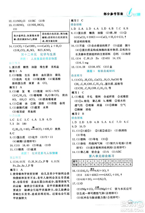 人民教育出版社2024年春同步导学与优化训练九年级化学下册人教版答案