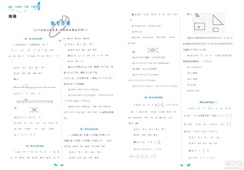 广西师范大学出版社2024年春新课程学习与测评单元双测六年级数学下册A版人教版参考答案