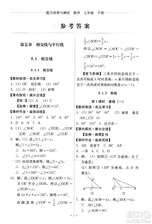 人民教育出版社2024年春能力培养与测试七年级数学下册人教版新疆专版答案