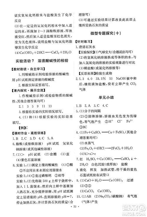 人民教育出版社2024年春能力培养与测试九年级化学下册人教版答案 人民教育出版社2024年春能力培养与测试九年级化学下册人教版答案