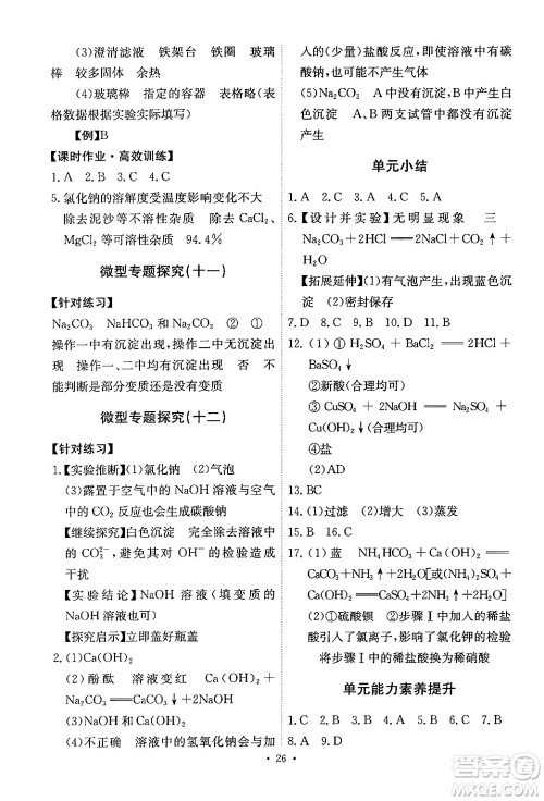 人民教育出版社2024年春能力培养与测试九年级化学下册人教版答案 人民教育出版社2024年春能力培养与测试九年级化学下册人教版答案