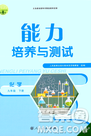 人民教育出版社2024年春能力培养与测试九年级化学下册人教版湖南专版答案