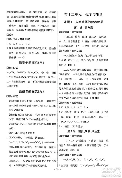 人民教育出版社2024年春能力培养与测试九年级化学下册人教版湖南专版答案
