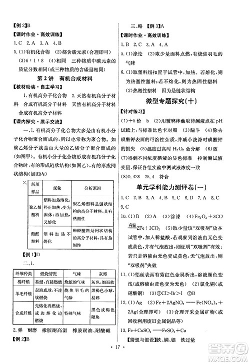 人民教育出版社2024年春能力培养与测试九年级化学下册人教版湖南专版答案