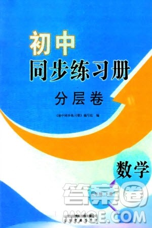 山东教育出版社2024年春初中同步练习册分层卷七年级数学下册通用版参考答案