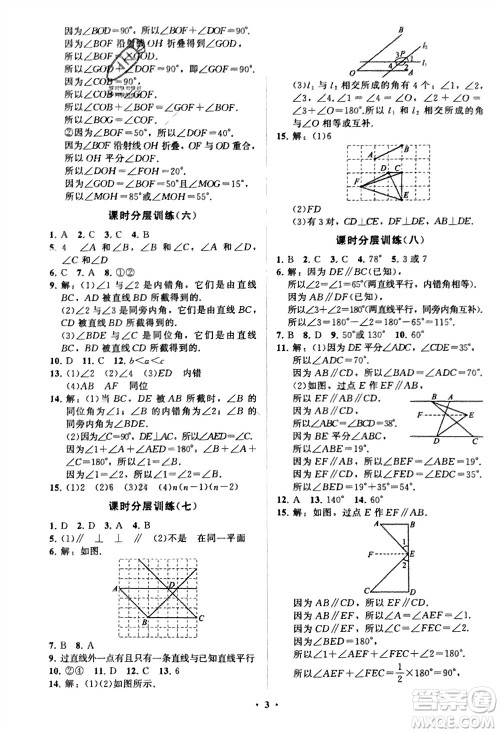 山东教育出版社2024年春初中同步练习册分层卷七年级数学下册通用版参考答案