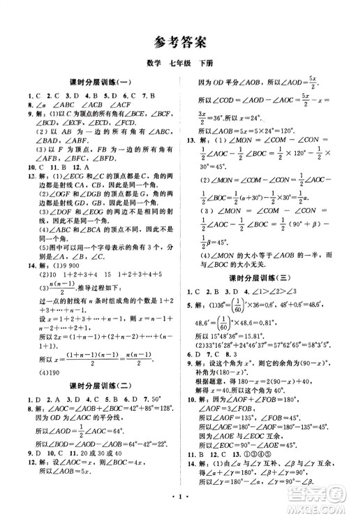 山东教育出版社2024年春初中同步练习册分层卷七年级数学下册通用版参考答案