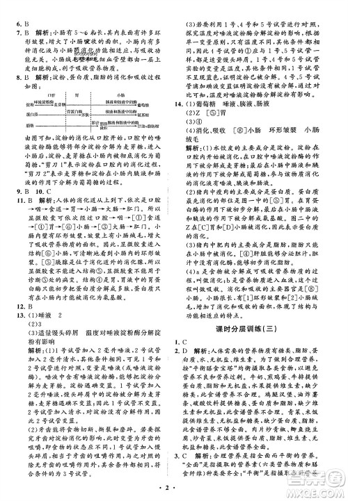 山东教育出版社2024年春初中同步练习册分层卷七年级生物下册通用版参考答案 山东教育出版社2024年春初中同步练习册分层卷七年级生物下册通用版参考答案
