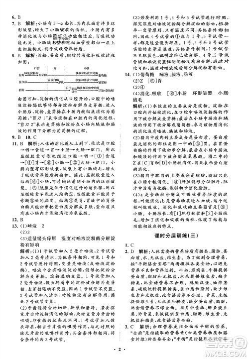 山东教育出版社2024年春初中同步练习册分层卷七年级生物下册通用版参考答案