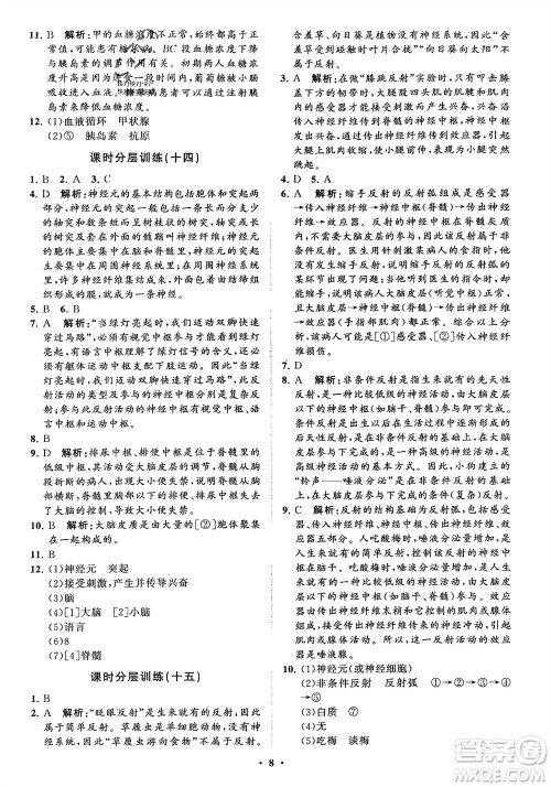 山东教育出版社2024年春初中同步练习册分层卷七年级生物下册通用版参考答案