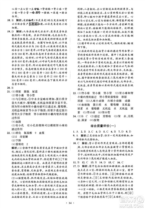 山东教育出版社2024年春初中同步练习册分层卷七年级生物下册通用版参考答案 山东教育出版社2024年春初中同步练习册分层卷七年级生物下册通用版参考答案
