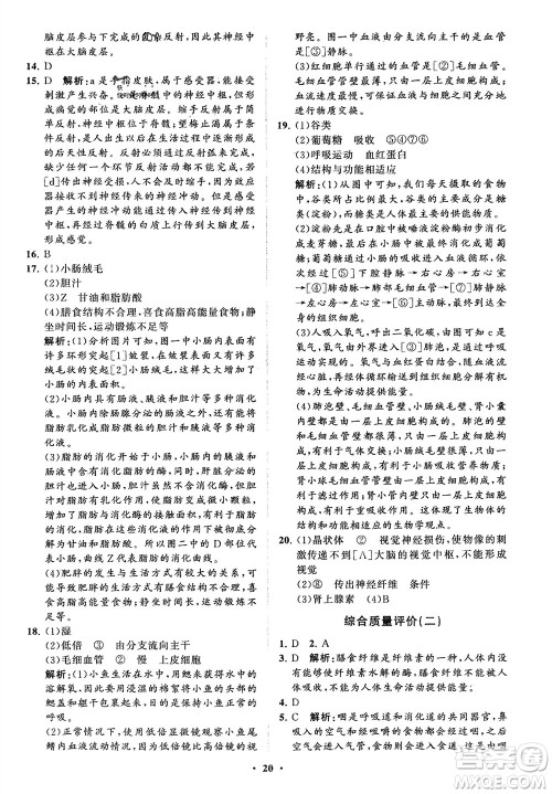 山东教育出版社2024年春初中同步练习册分层卷七年级生物下册通用版参考答案