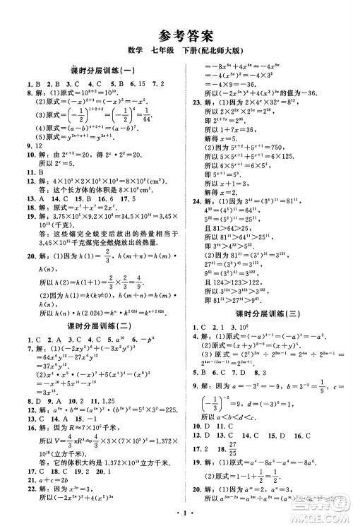 山东教育出版社2024年春初中同步练习册分层卷七年级数学下册北师大版参考答案