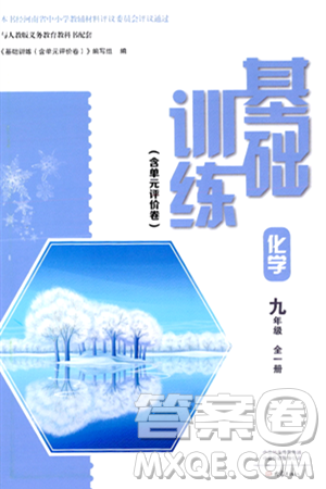大象出版社2024年春基础训练九年级化学全一册人教版答案