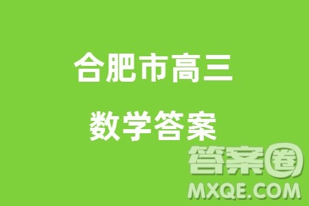 合肥市2024届高三下学期第一次教学质量检测数学参考答案