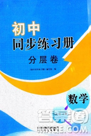 山东教育出版社2024年春初中同步练习册分层卷八年级数学下册通用版参考答案