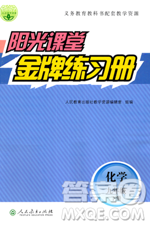 人民教育出版社2024年春阳光课堂金牌练习册九年级化学下册人教版答案