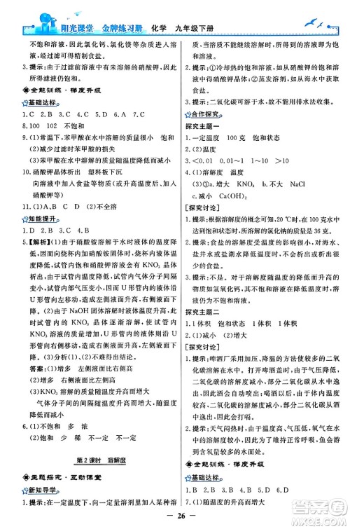 人民教育出版社2024年春阳光课堂金牌练习册九年级化学下册人教版答案