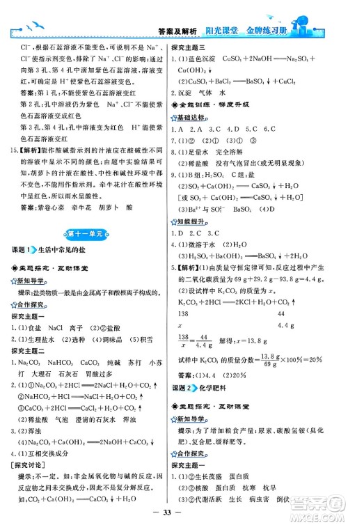 人民教育出版社2024年春阳光课堂金牌练习册九年级化学下册人教版答案