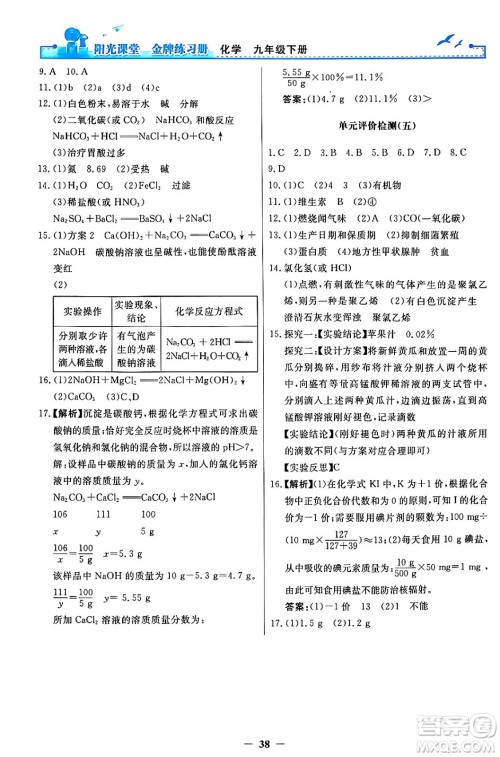 人民教育出版社2024年春阳光课堂金牌练习册九年级化学下册人教版答案 人民教育出版社2024年春阳光课堂金牌练习册九年级化学下册人教版答案