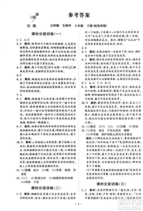 山东教育出版社2024年春初中同步练习册分层卷八年级生物下册五四学制鲁科版参考答案 山东教育出版社2024年春初中同步练习册分层卷八年级生物下册五四学制鲁科版参考答案
