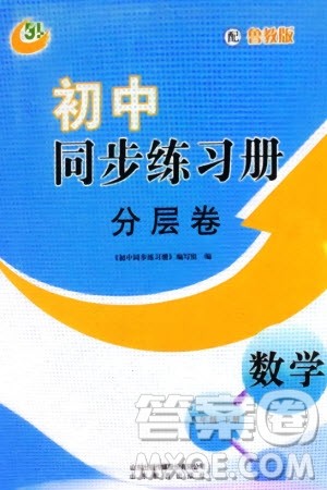 山东教育出版社2024年春初中同步练习册分层卷八年级数学下册五四学制鲁教版参考答案