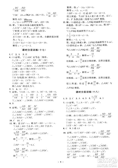 山东教育出版社2024年春初中同步练习册分层卷八年级数学下册五四学制鲁教版参考答案