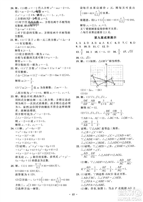 山东教育出版社2024年春初中同步练习册分层卷八年级数学下册五四学制鲁教版参考答案