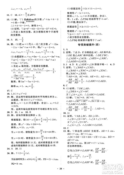 山东教育出版社2024年春初中同步练习册分层卷八年级数学下册五四学制鲁教版参考答案