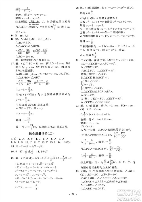 山东教育出版社2024年春初中同步练习册分层卷八年级数学下册五四学制鲁教版参考答案