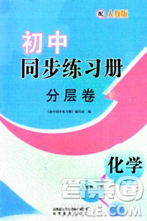 山东教育出版社2024年春初中同步练习册分层卷九年级化学下册人教版参考答案